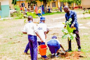 Read more about the article Tree planting at Junior secondary school Tundunwada