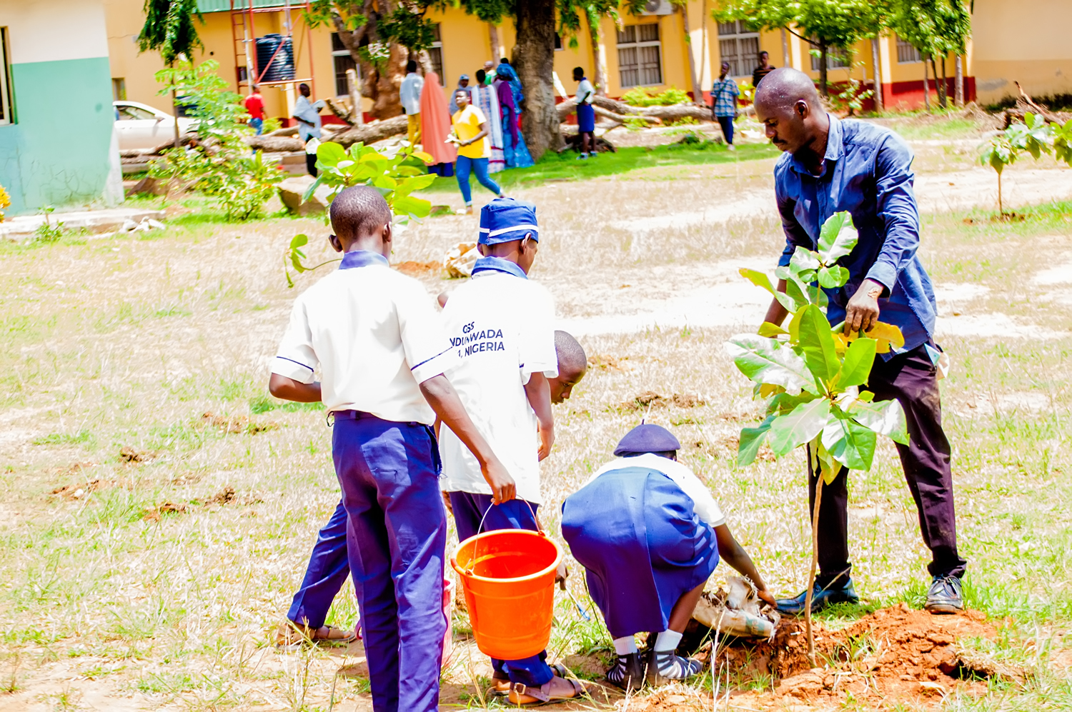 You are currently viewing Tree planting at Junior secondary school Tundunwada